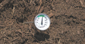 Reotemp Backyard Compost Thermometer, 20L