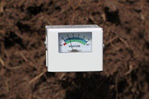 moisture-meter-in-pile-rugged 